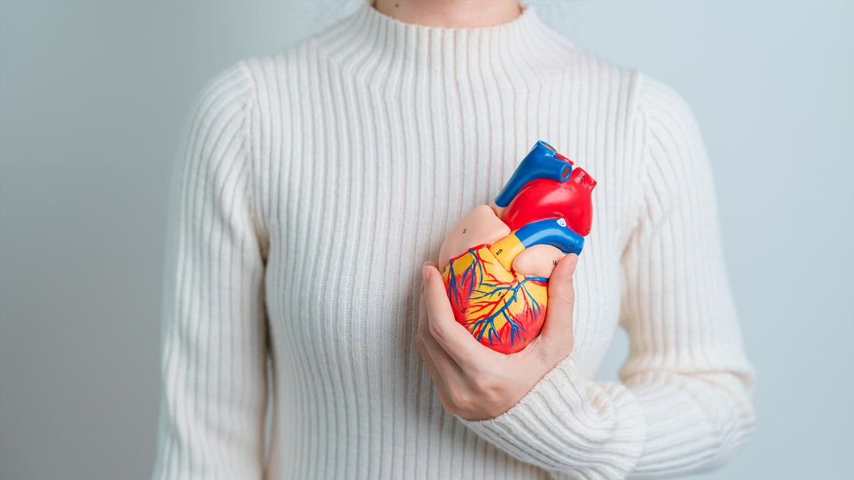Cuidado Cardiovascular y Circulatorio – Salud Integral Market